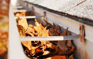 Stalisfield Green gutter cleaning companies