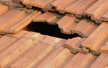 roof repair Stalisfield Green, Kent