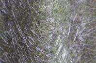 Stalisfield Green fibreglass roof work