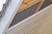 rated Stalisfield Green soffit repair companies